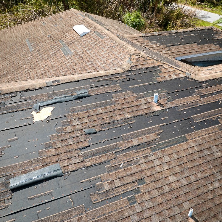 Roofing in Fort Collins, CO